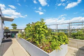 706-848 Yates St — listing photo 28 of 29