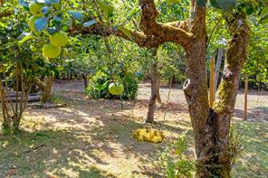 7421 Westholme Rd — listing photo 42 of 50