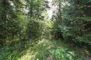 3550 Cumberland Rd — listing photo 37 of 61