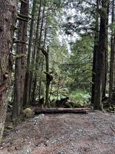15 Mitchell Bay Rd — listing photo 29 of 60