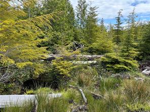 15 Mitchell Bay Rd — listing photo 40 of 60