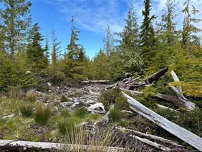 15 Mitchell Bay Rd — listing photo 41 of 60