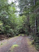 15 Mitchell Bay Rd — listing photo 43 of 60