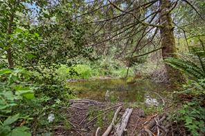 2620 Ross Rd — listing photo 45 of 61