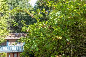 4710 Captains Cres — listing photo 30 of 36