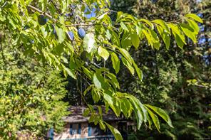 4710 Captains Cres — listing photo 31 of 36