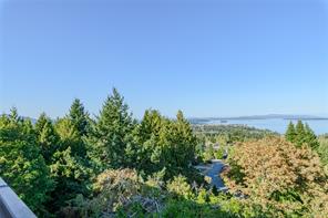 8839 Forest Park Dr — listing photo 16 of 47