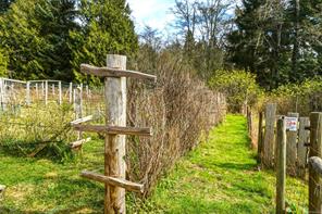 8750 West Coast Rd — listing photo 66 of 75