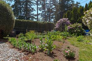 484 Goldstream Ave — listing photo 32 of 39