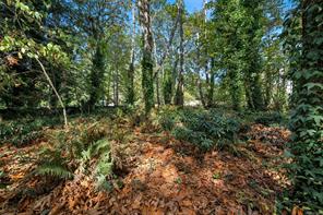 10915 Cedar Lane — listing photo 72 of 81
