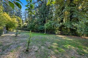10915 Cedar Lane — listing photo 79 of 81