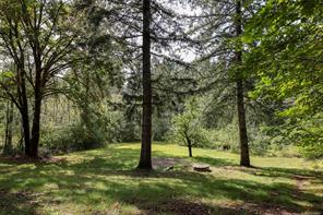 4026 MacAulay Rd — listing photo 34 of 46