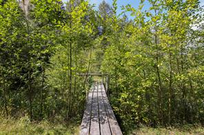 4026 MacAulay Rd — listing photo 36 of 46