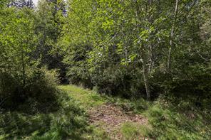 4026 MacAulay Rd — listing photo 43 of 46