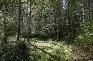 4026 MacAulay Rd — listing photo 44 of 46