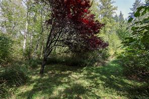 4026 MacAulay Rd — listing photo 45 of 46