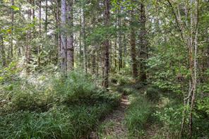4026 MacAulay Rd — listing photo 46 of 46