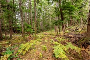 1466 Norton Dr — listing photo 63 of 93