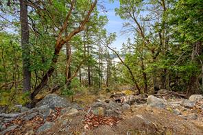 1466 Norton Dr — listing photo 69 of 93