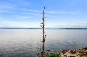 1466 Norton Dr — listing photo 82 of 93