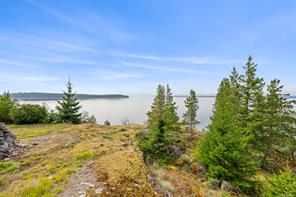 1466 Norton Dr — listing photo 87 of 93