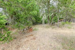 296 Canvasback Pl — listing photo 48 of 51