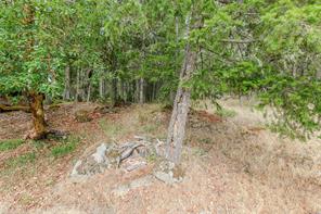 296 Canvasback Pl — listing photo 49 of 51