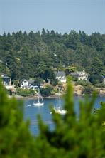 3656 Cadboro Bay Rd — listing photo 39 of 75