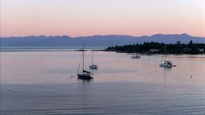 3656 Cadboro Bay Rd — listing photo 54 of 75