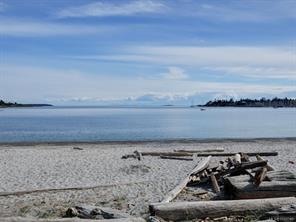 3656 Cadboro Bay Rd — listing photo 63 of 75