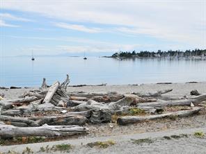 3656 Cadboro Bay Rd — listing photo 64 of 75