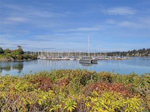 3656 Cadboro Bay Rd — listing photo 68 of 75
