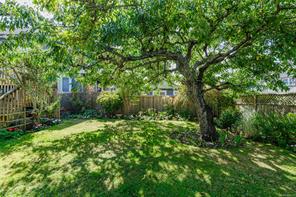 244 Moss St — listing photo 36 of 42