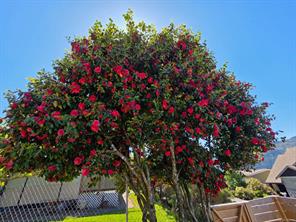 2685 2nd Ave — listing photo 46 of 55
