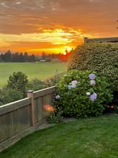 419 RIDGEFIELD Dr — listing photo 44 of 44