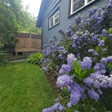 446 Davis Rd — listing photo 70 of 83