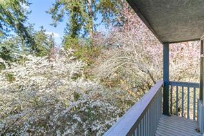 2660 MacDonald Dr — listing photo 26 of 41