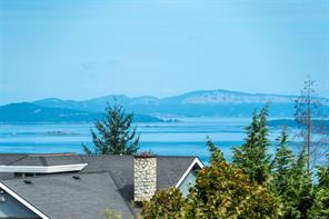 8798 Forest Park Dr — listing photo 14 of 47