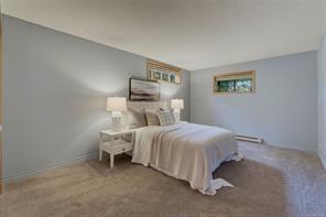 8798 Forest Park Dr — listing photo 37 of 47