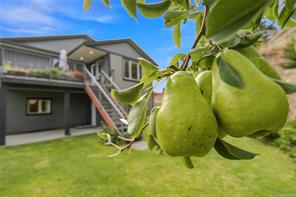 5348 Cascara Dr — listing photo 31 of 46