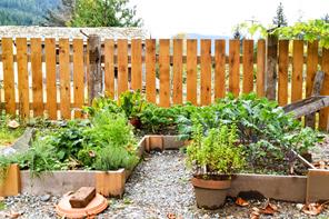 125 Maquinna Ave — listing photo 45 of 64