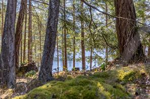 2699 Galleon Way — listing photo 15 of 49