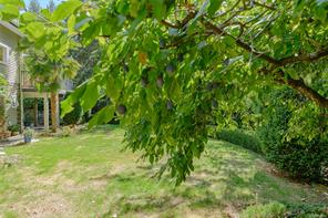 154 High Hill Rd — listing photo 41 of 77