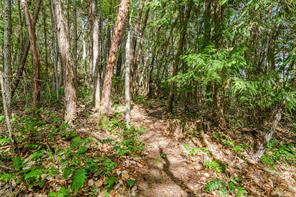 154 High Hill Rd — listing photo 56 of 77