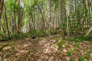 154 High Hill Rd — listing photo 57 of 77
