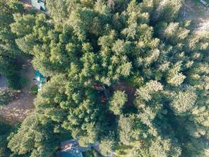 1115 Chapman Rd — listing photo 94 of 95