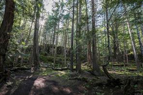 651 Gorge Harbour — listing photo 40 of 50