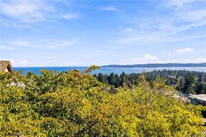 3665 Glen Oaks Dr — listing photo 52 of 62
