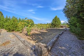 Property Photo 59