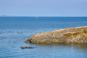 4532 Gordon Point Dr — listing photo 89 of 99
